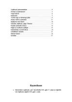 Biznesa plāns 'Biznesa plāns', 2.