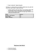 Biznesa plāns 'Biznesa plāns', 9.