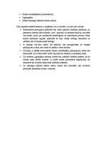 Biznesa plāns 'Biznesa plāns', 10.