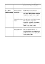 Diplomdarbs 'Bērna personības veidošanās ģimenē agrā bērnībā', 88.