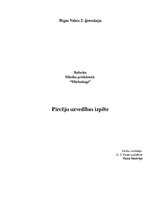 Referāts 'Pircēju uzvedības izpēte', 1.