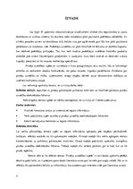 Referāts 'Pircēju uzvedības izpēte', 3.