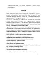 Referāts 'LR muita, tās funkcijas un nodevas', 10.