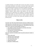 Referāts 'LR muita, tās funkcijas un nodevas', 12.