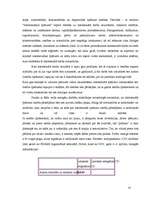 Referāts 'LR muita, tās funkcijas un nodevas', 14.