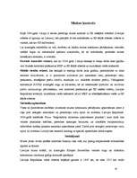 Referāts 'LR muita, tās funkcijas un nodevas', 16.