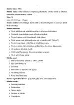 Konspekts 'Mācību stundas tēma - mežs', 3.