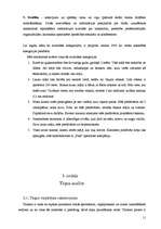 Biznesa plāns 'Biznesa plāns "Alejas"', 11.