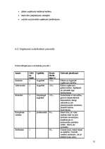 Biznesa plāns 'Biznesa plāns "Alejas"', 25.