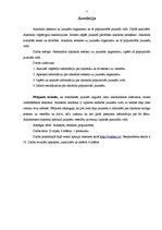 Referāts 'Alkohola ietekme uz jauniešu organismu un tā popularitāte jauniešu vidū', 2.