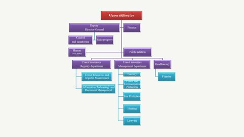 Prezentācija 'State Forest Service Republic of Latvia', 5.