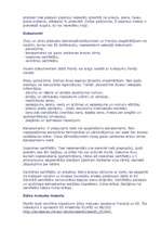 Referāts 'Francijas tirdzniecība', 9.