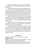 Paraugs 'Video montāža mūzikas klipam', 2.