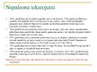 Prezentācija 'Napoleons Bonaparts un viņa iekarojumi', 5.