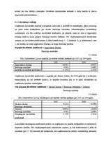 Prakses atskaite 'SIA "Creditreform Latvija"', 5.