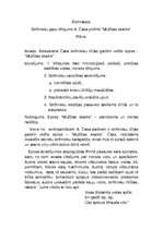 Eseja 'Strēlnieku gaitu tēlojums Aleksandra Čaka poēmā "Mūžības skartie"', 1.