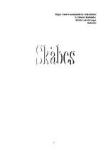 Referāts 'Skābes', 1.