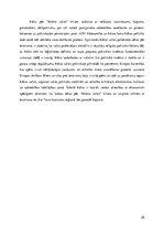 Referāts 'Cīņa pret terorismu kā militārās sadarbības veicinātājs', 25.