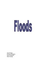Konspekts 'Flood', 1.