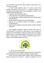 Referāts 'Zaļās stratēģijas tirgvedībā', 31.