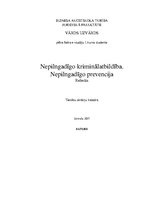 Referāts 'Nepilngadīgo kriminālatbildība. Prevencija', 1.