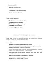 Prakses atskaite 'Integrētā mācību prakse pirmsskolā', 4.