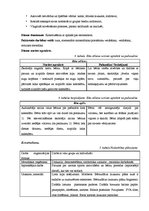 Prakses atskaite 'Integrētā mācību prakse pirmsskolā', 8.