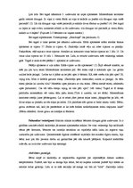 Prakses atskaite 'Integrētā mācību prakse pirmsskolā', 15.