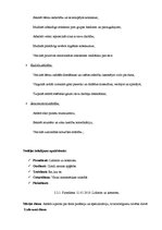 Prakses atskaite 'Integrētā mācību prakse pirmsskolā', 21.