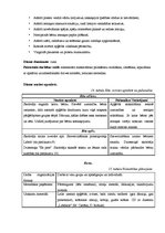 Prakses atskaite 'Integrētā mācību prakse pirmsskolā', 25.