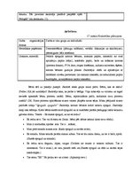 Prakses atskaite 'Integrētā mācību prakse pirmsskolā', 29.