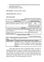 Prakses atskaite 'Integrētā mācību prakse pirmsskolā', 32.