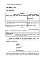 Prakses atskaite 'Integrētā mācību prakse pirmsskolā', 35.