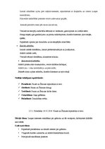 Prakses atskaite 'Integrētā mācību prakse pirmsskolā', 38.