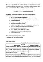 Prakses atskaite 'Integrētā mācību prakse pirmsskolā', 43.