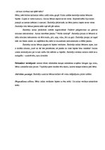 Prakses atskaite 'Integrētā mācību prakse pirmsskolā', 49.