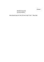 Prakses atskaite 'Integrētā mācību prakse pirmsskolā', 50.