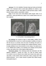 Konspekts 'Vīrusu mārketings', 8.