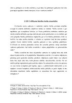 Referāts 'Saistību tiesību aizsardzība', 5.