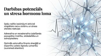 Prezentācija 'Videospēļu ietekme uz smadzeņu attīstību un uzmanību', 5.