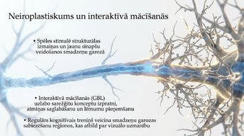 Prezentācija 'Videospēļu ietekme uz smadzeņu attīstību un uzmanību', 7.