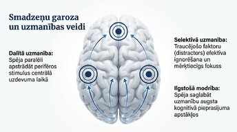 Prezentācija 'Videospēļu ietekme uz smadzeņu attīstību un uzmanību', 8.