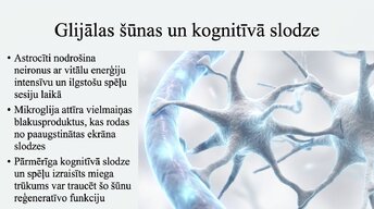 Prezentācija 'Videospēļu ietekme uz smadzeņu attīstību un uzmanību', 9.