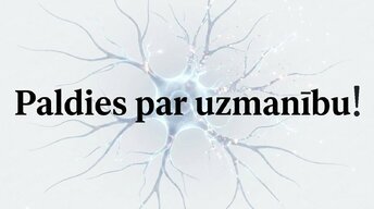 Prezentācija 'Videospēļu ietekme uz smadzeņu attīstību un uzmanību', 15.