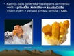 Prezentācija 'Kadmijs', 5.