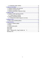 Biznesa plāns 'SIA "Vanags" biznesa plāns', 5.