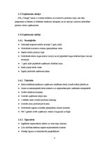 Biznesa plāns 'SIA "Vanags" biznesa plāns', 8.