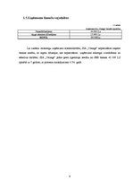 Biznesa plāns 'SIA "Vanags" biznesa plāns', 9.