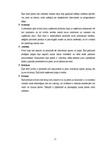 Biznesa plāns 'SIA "Vanags" biznesa plāns', 12.