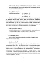 Biznesa plāns 'SIA "Vanags" biznesa plāns', 15.